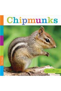 Chipmunks