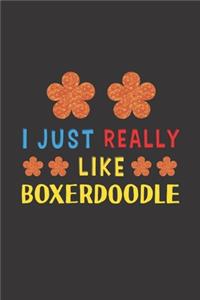 I Just Really Like Boxerdoodle