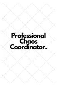 Professional Chaos Coordinator.
