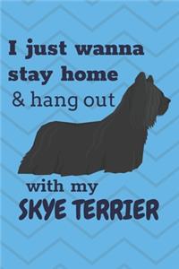 I just wanna stay home & hang out with my Skye Terrier