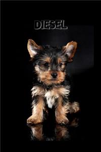 Diesel