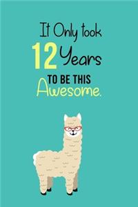 It Only Took 12 Years to be this Awesome