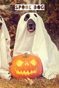 Spook Dog