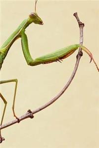 Praying Mantis Notebook