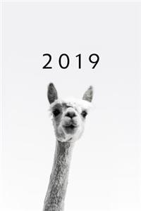 2019