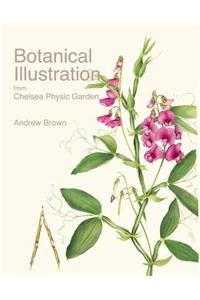 Botanical Illustration from Chelsea Physic Garden