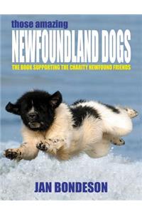 Those Amazing Newfoundland Dogs