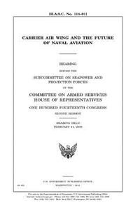 Carrier air wing and the future of naval aviation