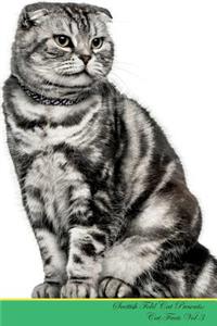 Scottish Fold Cat Presents