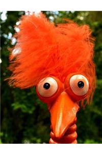 Notebook: Orange Fuzzy Hair Bird Cover - Lined Notebook - Journal - Composition Book - 8.5 X 11 Paper - Wide Ruled - 100 Pages