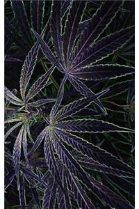 Cannabis Rating Journal Electric Weed: Blank Form Notebook Used for Organizing Information and Rate THC CBD Strains of Marijuana for Either Medical or Recreational