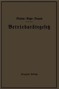 Betriebsrätegesetz vom 4. Februar 1920 nebst Wahlordnung, Ausführungsverordnungen und Ergänzungsgesetzen (Betriebsbilanzgesetz, Aufsichtsratsgesetz und Wahlordnung)