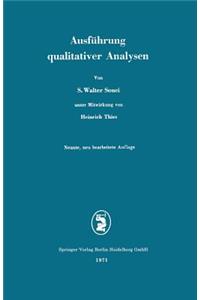Ausführung Qualitativer Analysen