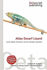 Atlas Dwarf Lizard