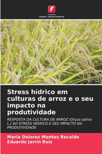Stress hídrico em culturas de arroz e o seu impacto na produtividade