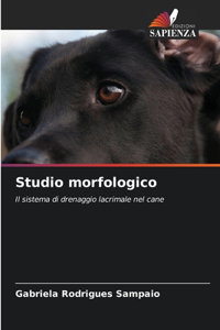 Studio morfologico