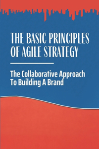 Basic Principles Of Agile Strategy