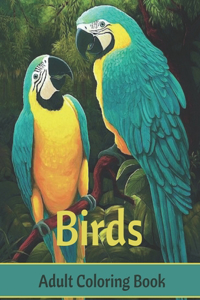 Birds Adult Coloring Book