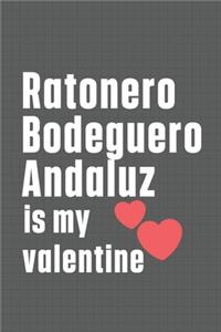 Ratonero Bodeguero Andaluz is my valentine