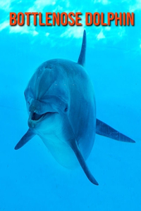 Bottlenose Dolphin