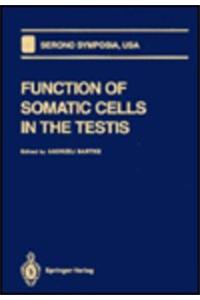 Function of Somatic Cells in the Testis