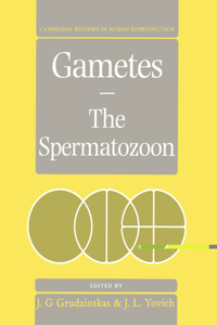 Gametes - The Spermatozoon