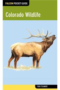 Colorado Wildlife