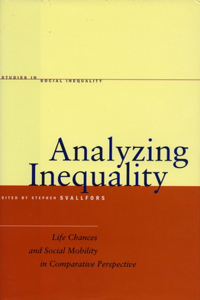 Analyzing Inequality