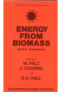 Energy from the Biomass