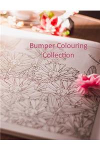 Bumper Colouring Collection