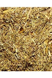 School Composition Book Balsam Chips