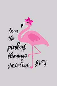 Even the pinkest flamingo started out grey