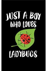 Just A Boy Who Loves Ladybugs