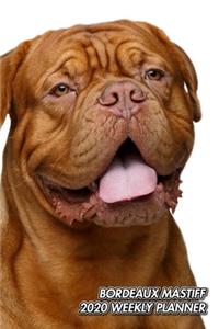 Bordeaux Mastiff 2020 Weekly Planner