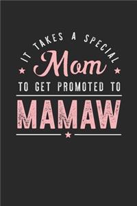 It Takes A Special Mom To Get Promoted To Mamaw