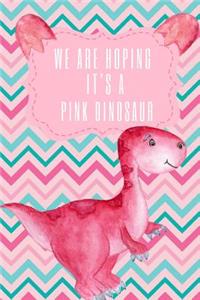 We Are Hoping It's a Pink Dinosaur