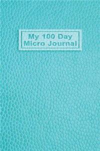 My 100 Day Micro Journal