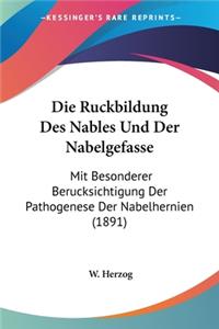 Ruckbildung Des Nables Und Der Nabelgefasse