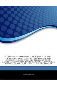 Articles on Census-Designated Places in South Carolina, Including