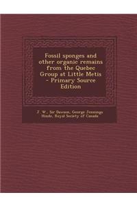 Fossil Sponges and Other Organic Remains from the Quebec Group at Little Metis