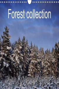 Forest Collection 2017