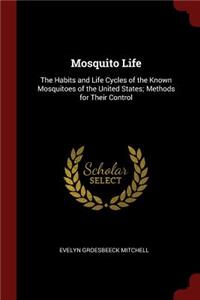 Mosquito Life