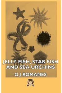 Jelly Fish, Star Fish and Sea Urchins