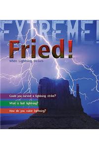 Extreme Science: Fried!