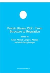 Protein Kinase Ck2 -- From Structure to Regulation