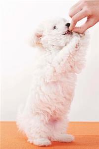 Feed the Dog Journal