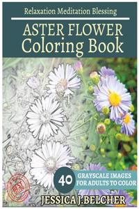 Aster Flower Coloring Book for Adults Relaxation Meditation Blessing