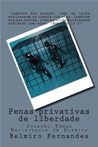 Penas Privativas de Liberdade: Temas Revisitados de Direito - Volume 1.