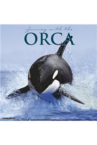Orca (Journey with The) 2019 Wall Calendar