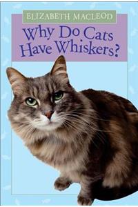 Why Do Cats Have Whiskers?